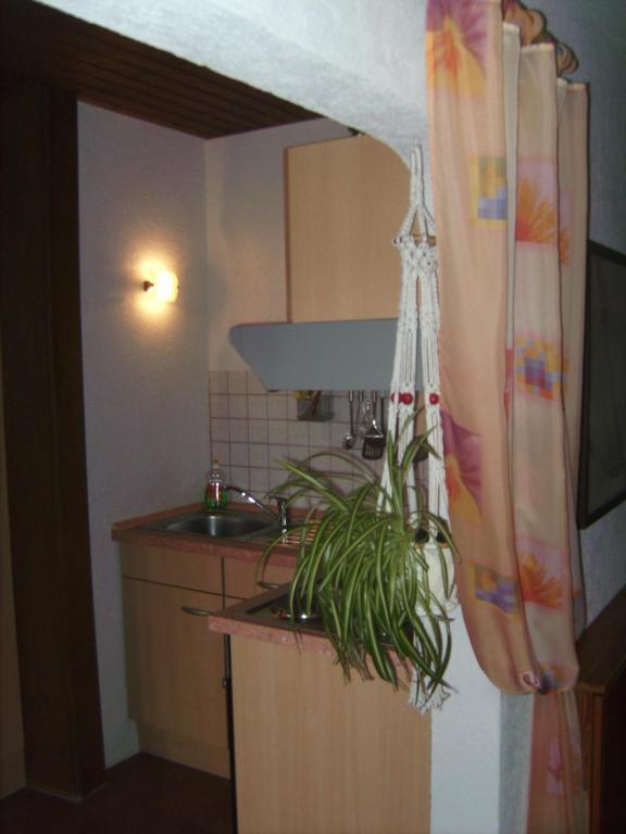 Ferienwohnung Evangeline Borsch Zell an der Mosel Εξωτερικό φωτογραφία